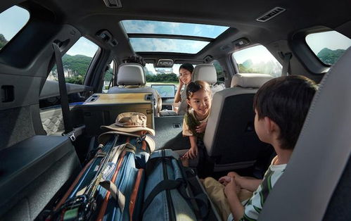 搶先體驗(yàn)漢唐云輦 c,比亞迪的黑科技有多 神